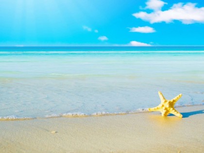 Company holidays 2016